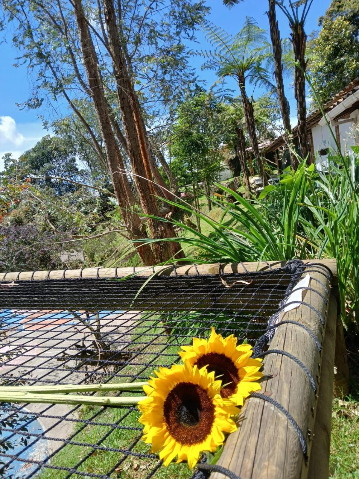 Oru Campestre Hotel 5*